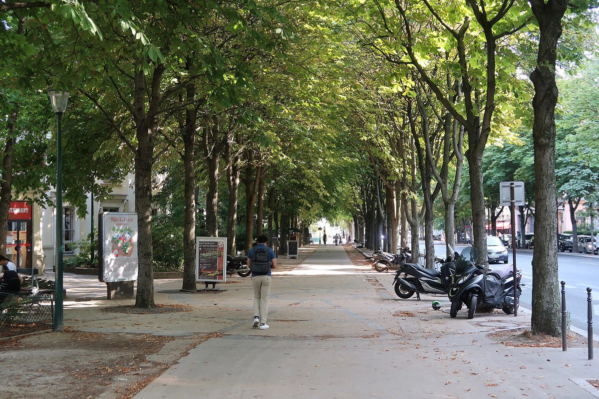 L'avenue Franklin-D.-Roosevelt, dans le 8e arrondissement