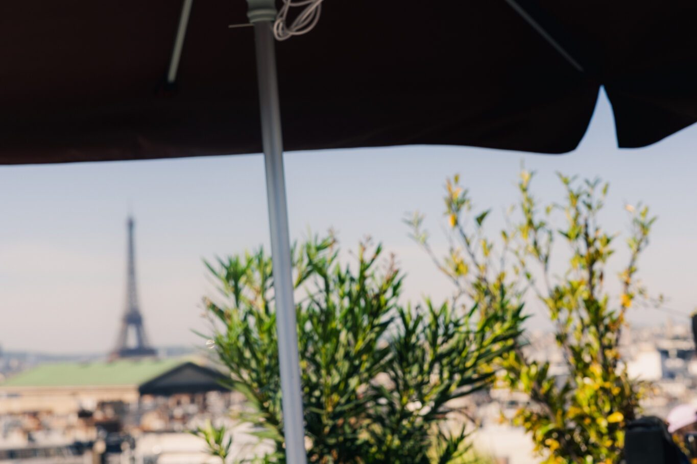 Un parasol bordeaux marqué Balcon Paris sur le toit des Galeries Lafayette, la tour Eiffel au loin