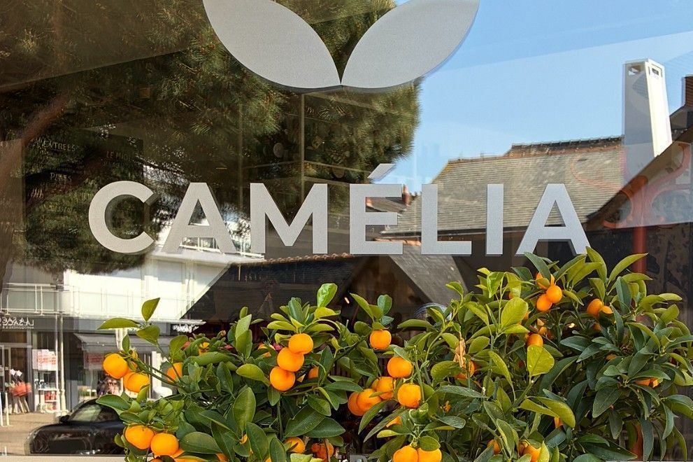 La vitrine de Camélia, son nom et sa fleur peints sur la vitre, un oranger chargé de fruits devant