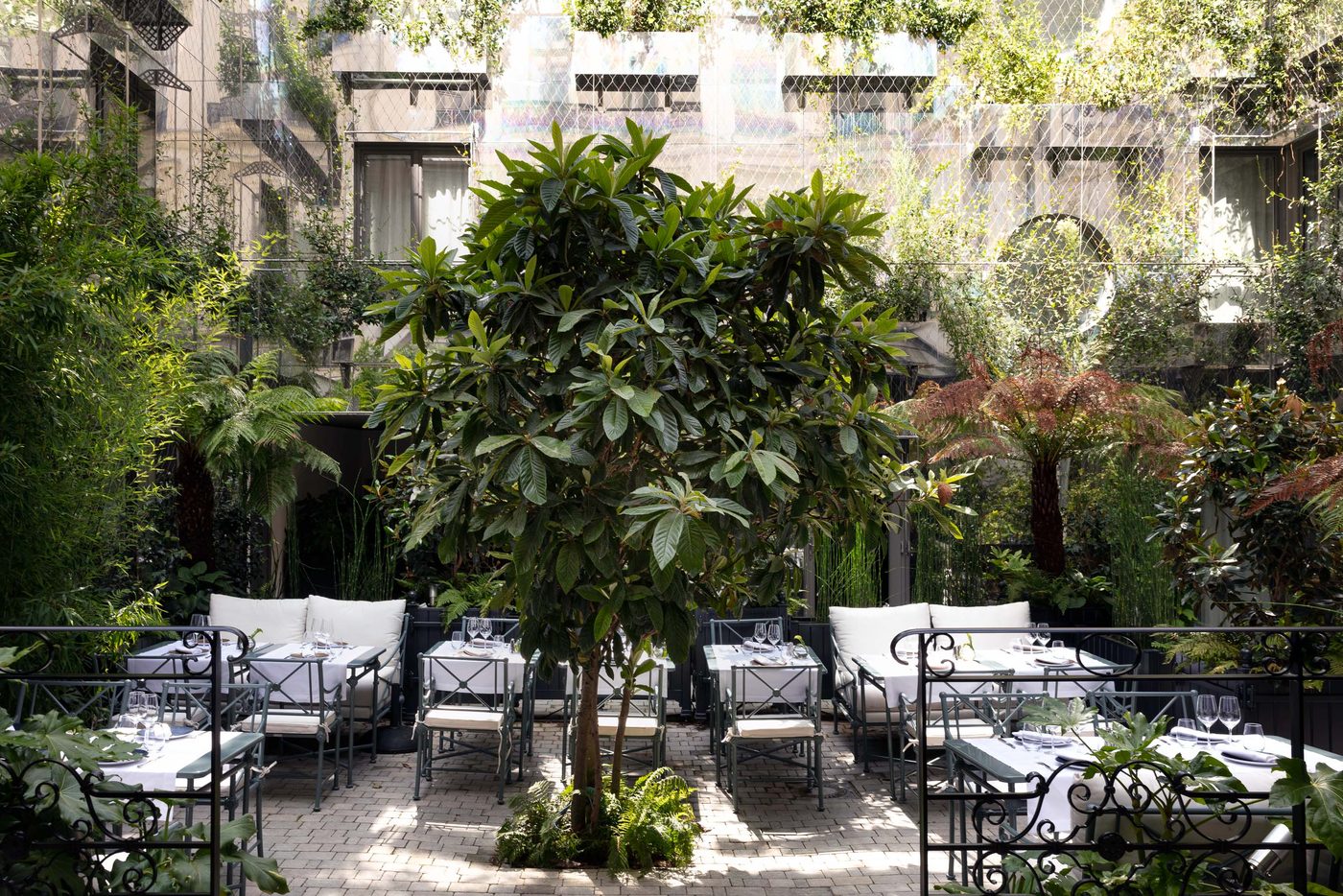 Le jardin d'Il Giardino, tables dressées autour d'un néflier du Japon, bambous et fougères arborescentes